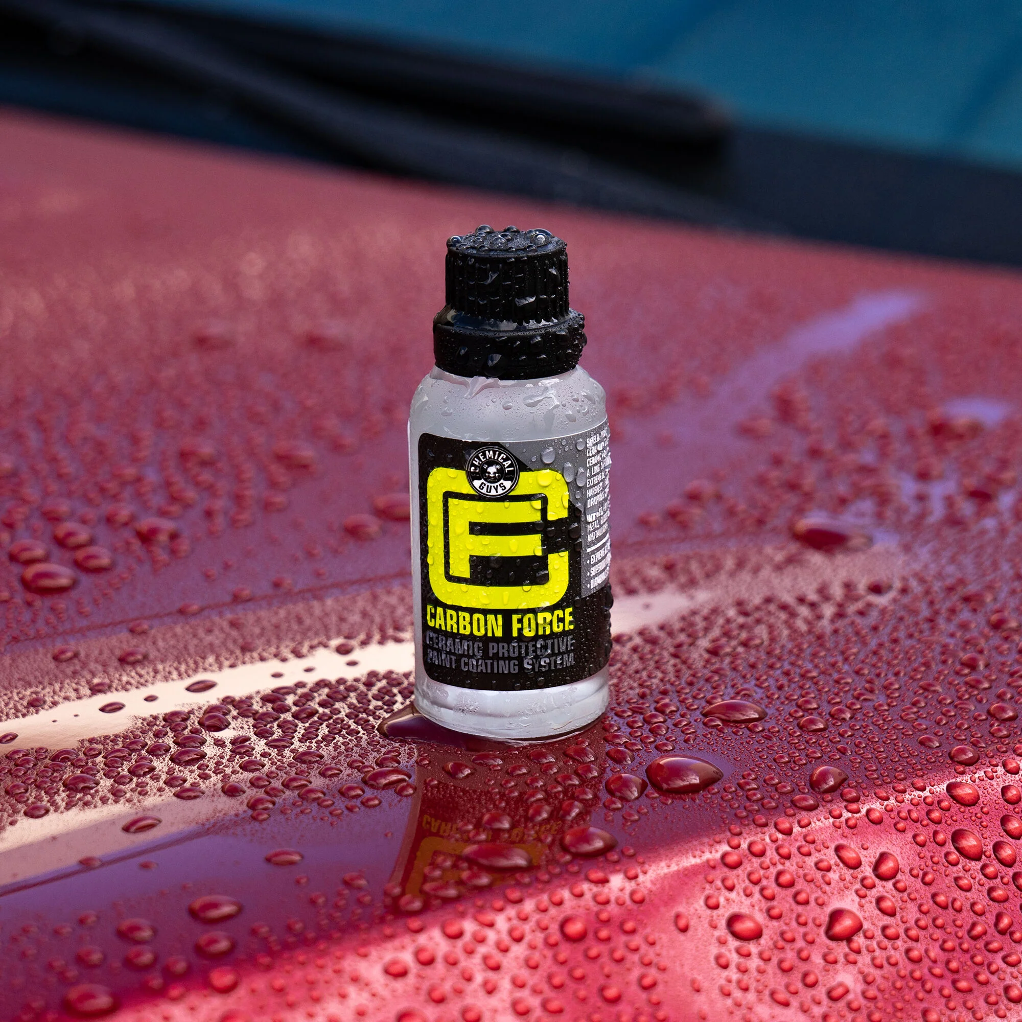 Carbon Force Ceramic Protective Paint Coating System - Image 2