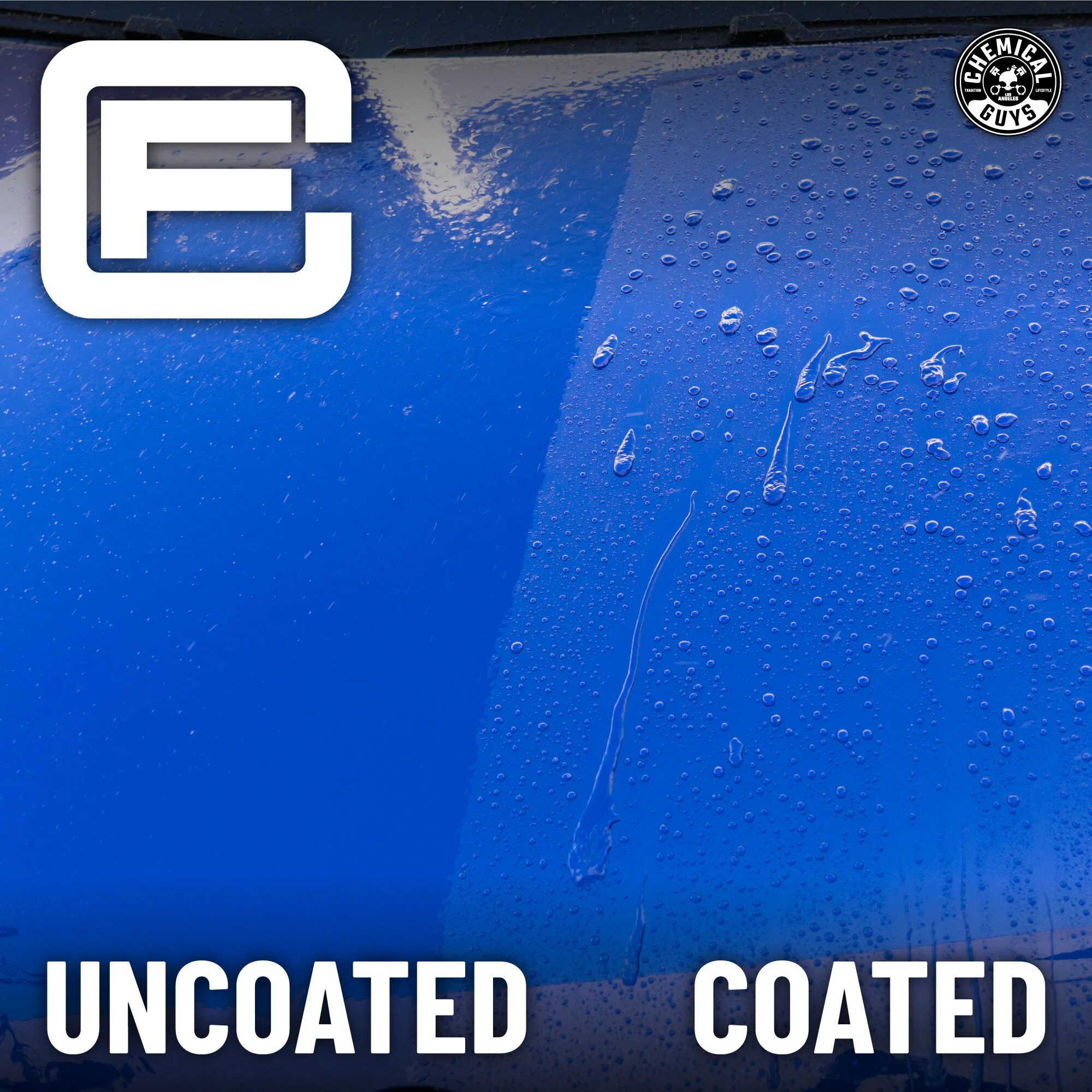 Carbon Force Ceramic Protective Paint Coating System - Image 3