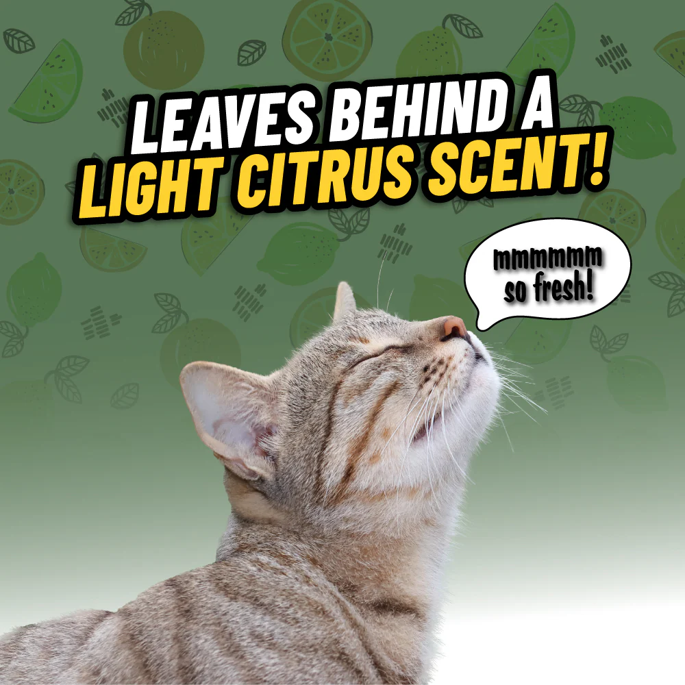 Ghosted Pet Odor Eliminator - Image 4