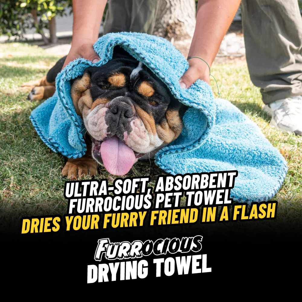 Pets Bundle - Image 5