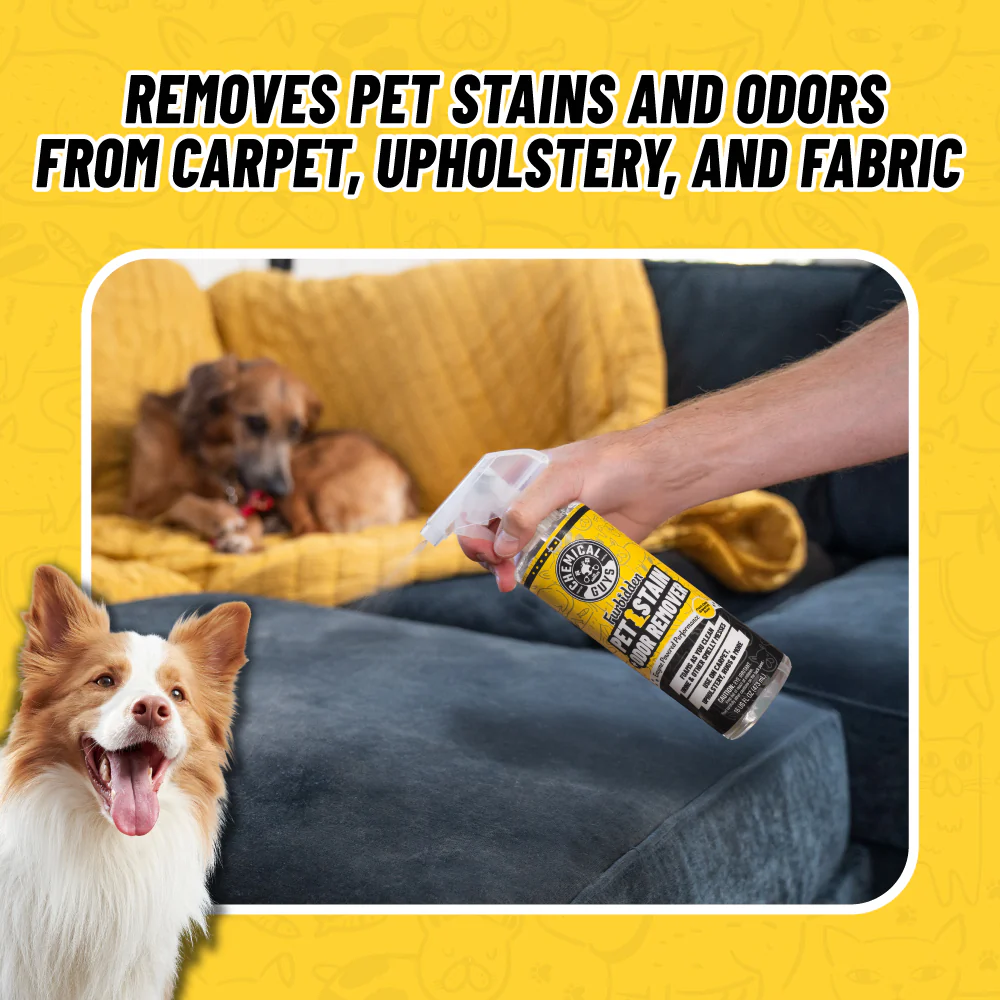 Pets Bundle - Image 6